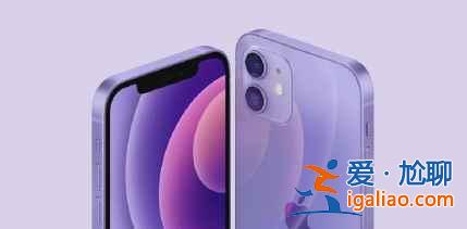 iPhone12紫色尺寸是多少？