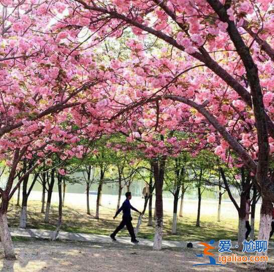 北京，每一處角落都有別樣的風情？