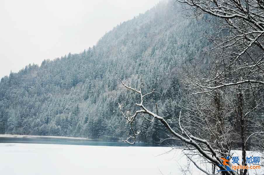 九寨溝雪景什么時(shí)間去,九寨溝什么時(shí)候下雪？