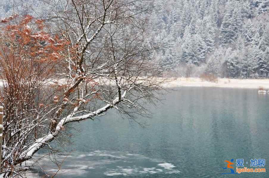 九寨溝雪景什么時(shí)間去,九寨溝什么時(shí)候下雪？
