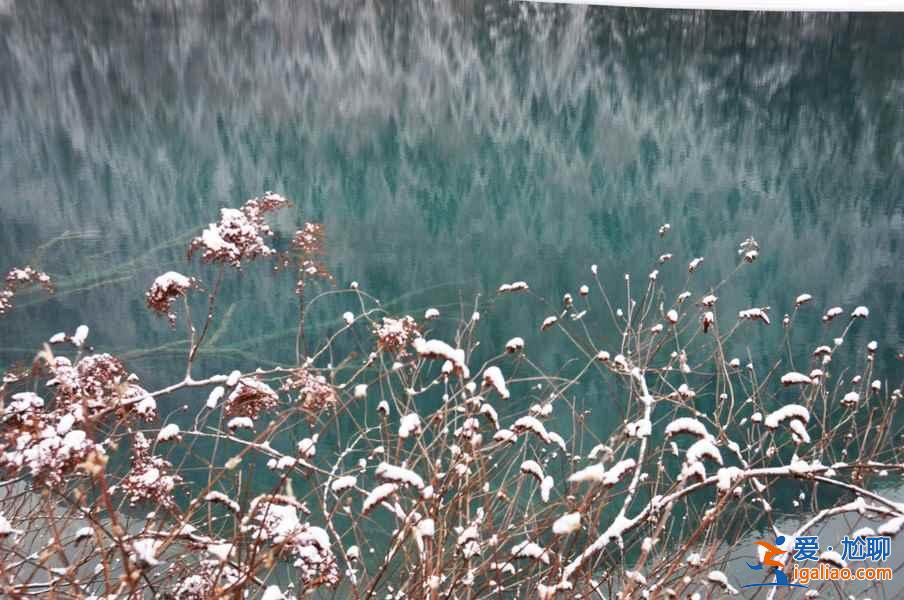 九寨溝雪景什么時(shí)間去,九寨溝什么時(shí)候下雪？