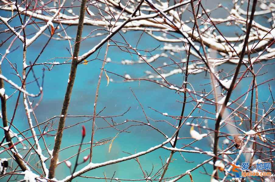 九寨溝雪景什么時(shí)間去,九寨溝什么時(shí)候下雪？