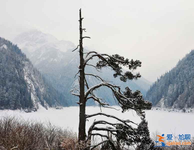 九寨溝雪景什么時(shí)間去,九寨溝什么時(shí)候下雪？