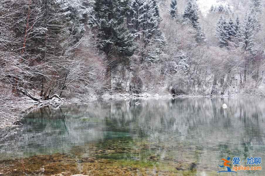 九寨溝雪景什么時(shí)間去,九寨溝什么時(shí)候下雪？