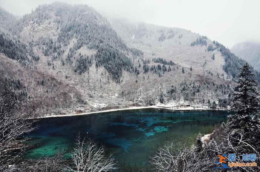 九寨溝雪景什么時(shí)間去,九寨溝什么時(shí)候下雪？