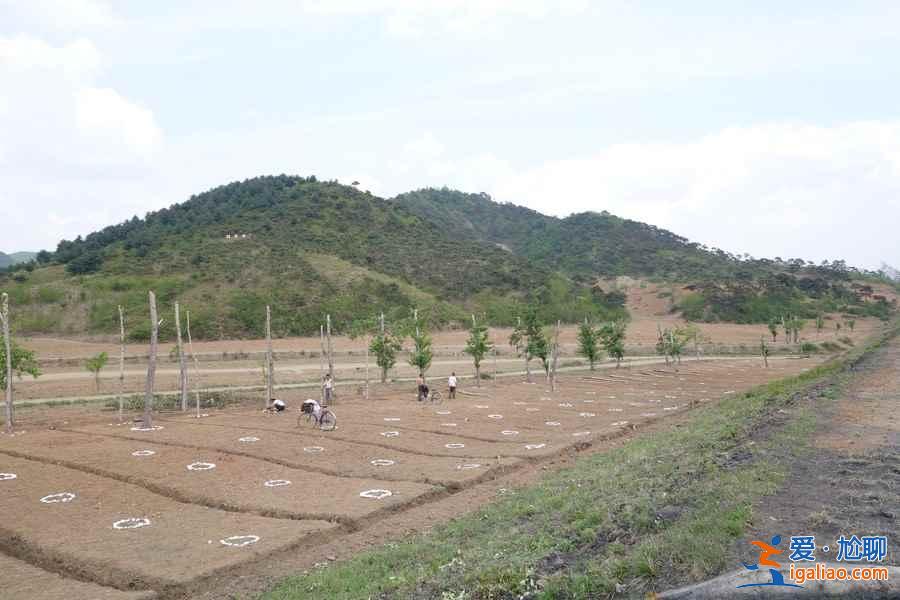 游客實(shí)拍：朝鮮平壤、元山、開城、板門店？