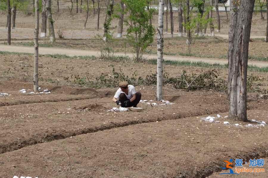 游客實(shí)拍：朝鮮平壤、元山、開城、板門店？