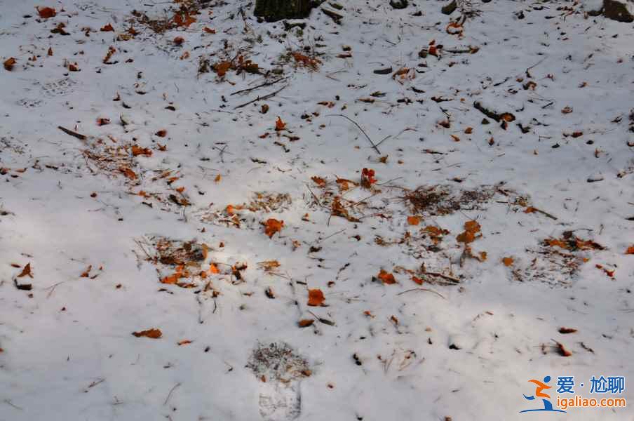 九寨溝雪景什么時(shí)間去,九寨溝什么時(shí)候下雪？