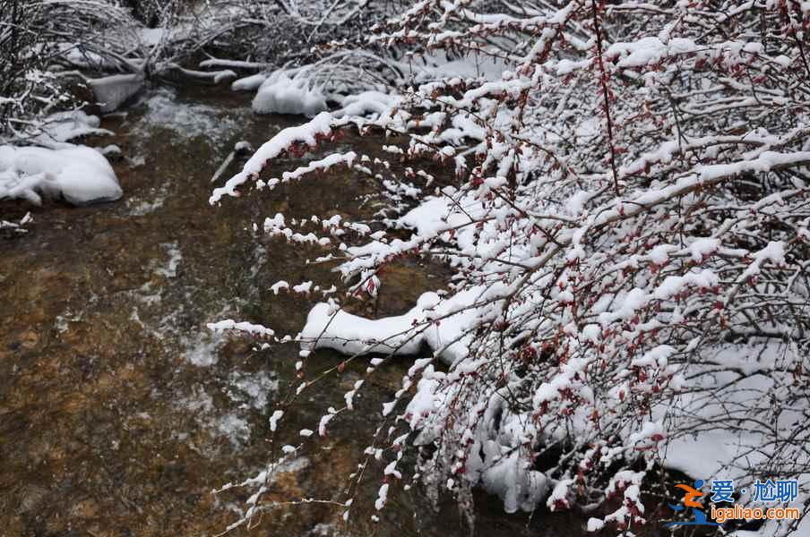 九寨溝雪景什么時(shí)間去,九寨溝什么時(shí)候下雪？