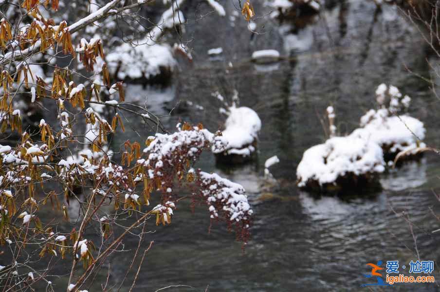 九寨溝雪景什么時(shí)間去,九寨溝什么時(shí)候下雪？