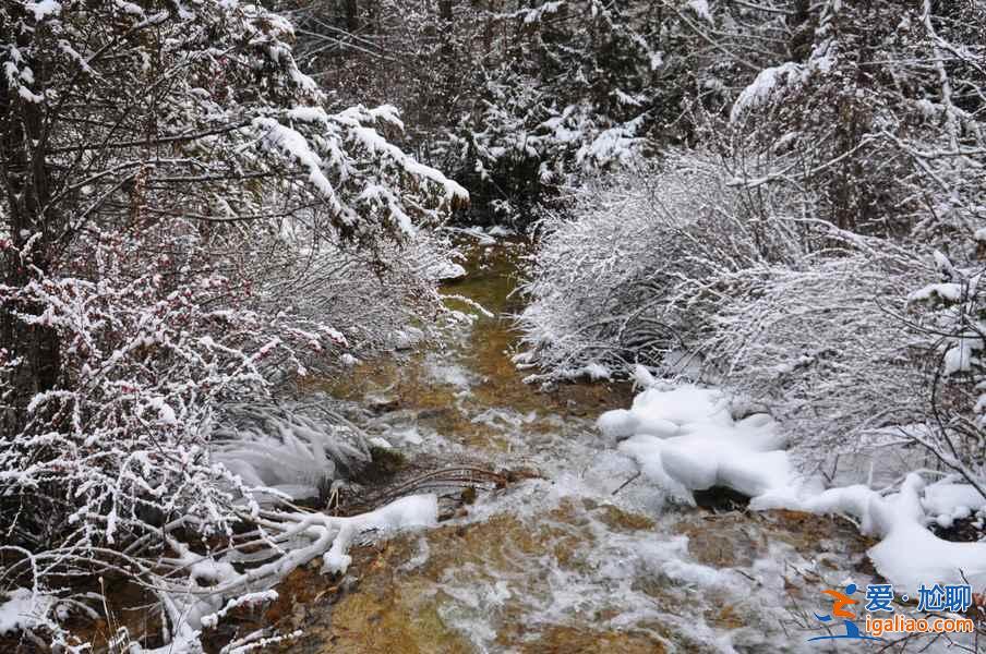 九寨溝雪景什么時(shí)間去,九寨溝什么時(shí)候下雪？