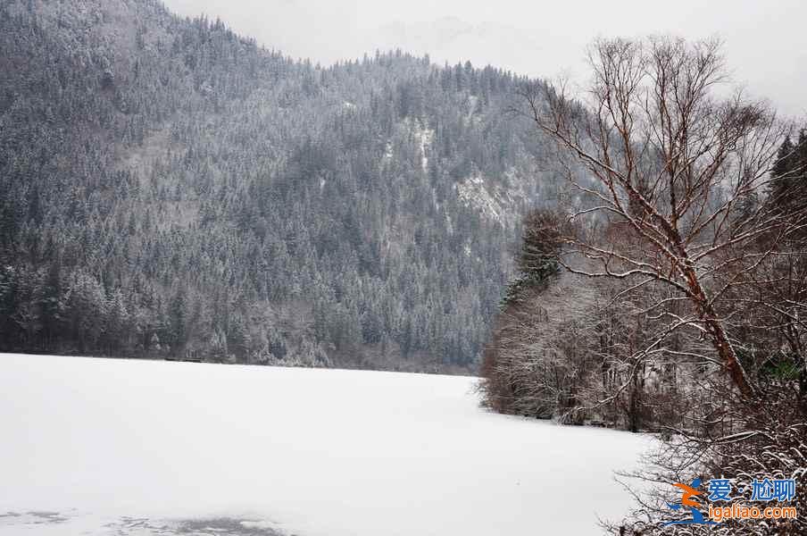 九寨溝雪景什么時(shí)間去,九寨溝什么時(shí)候下雪？
