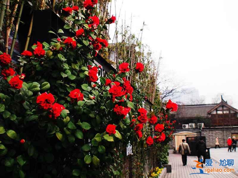 生活節(jié)奏最慢的城市，國內(nèi)生活節(jié)奏慢的城市有哪些？