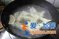 茴香餃子的做法大全？