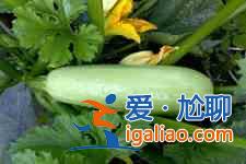 西葫蘆雞蛋餃子？