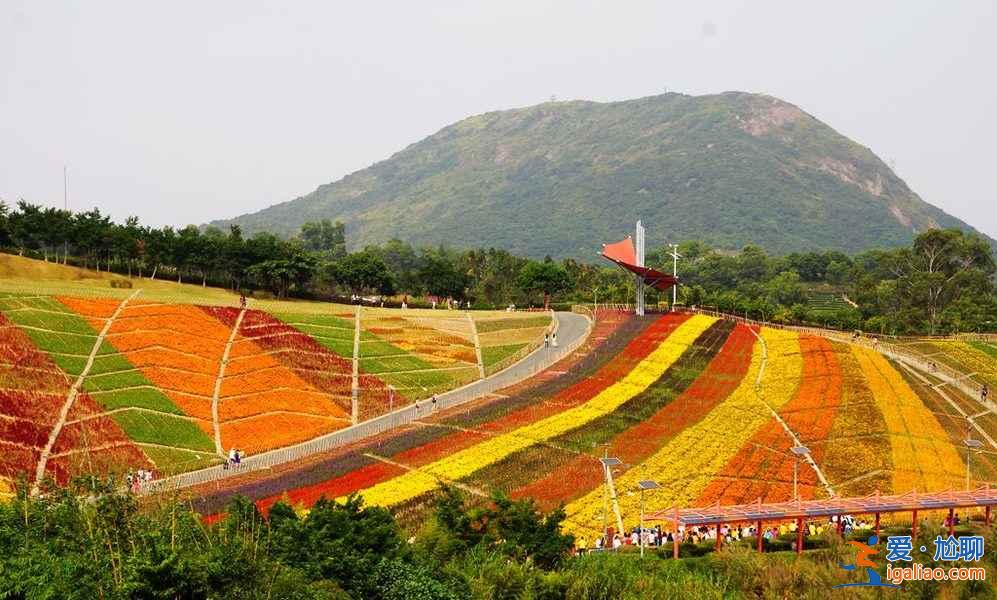 深圳周末親子游，深圳適合小孩玩地方？