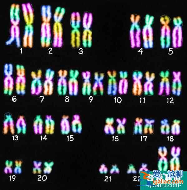 夫妻雙方都沒有染色體異常,是否有必要做第三代試管嬰兒?? 夫妻雙方都沒有染色體異常,是否有必要做第三代試管嬰兒??