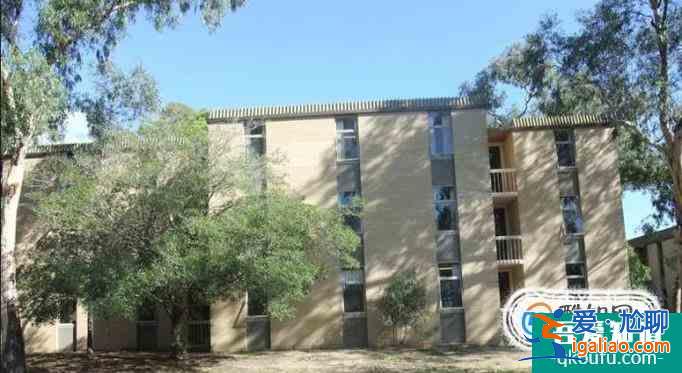 紐卡斯爾大學職業會計/工商管理專業和迪肯大學國際會計專業哪個好？？