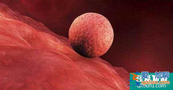 試管嬰兒的六個環(huán)節(jié),哪項才是關鍵?? 試管嬰兒的六個環(huán)節(jié),哪項才是關鍵??