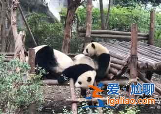 中國最美的國道——318國道? 中國最美的國道——318國道?