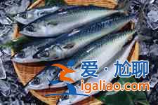 鲅魚餃子的做法？