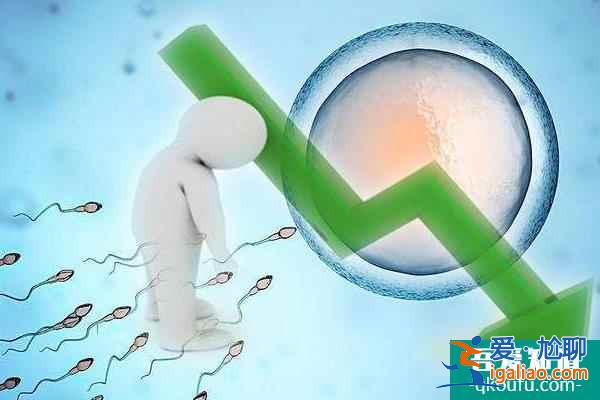 赴美試管嬰兒：男方大齡對成功率有影響嗎？？