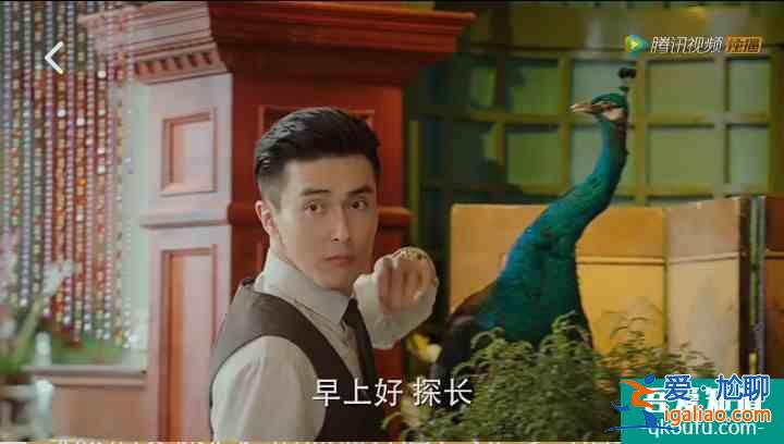 一盤甜點(diǎn)愛上旗袍美探，原來探長(zhǎng)是吃貨？