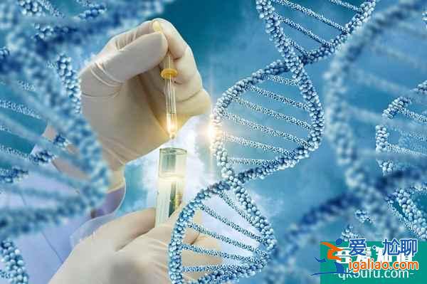 赴美試管嬰兒：男方大齡對成功率有影響嗎？？