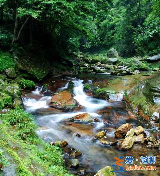 張家界有多美？親自見(jiàn)過(guò)才知道？