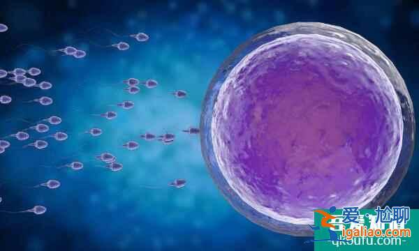 試管嬰兒：從不孕到好孕只需經歷7個步驟？