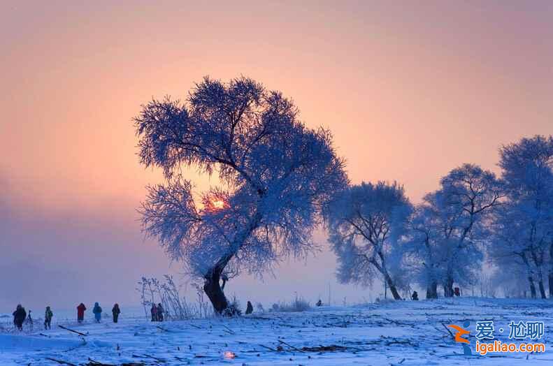 十二月，行走在中國最美雪線！？