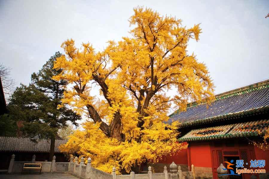 北京10月適合去哪玩，北京十月去哪玩好？