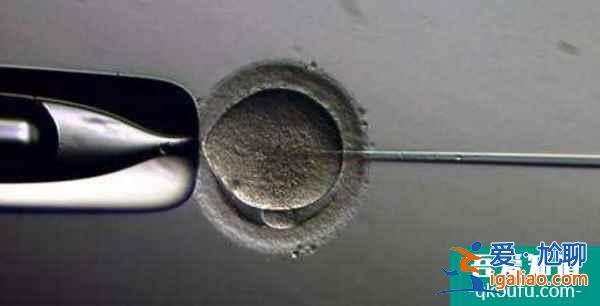 試管嬰兒移植雙胞胎的具體費用？