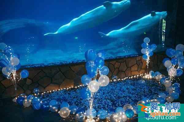 2021杭州長喬極地海洋公園將于12月25日恢復開放公告? 2021杭州長喬極地海洋公園將于12月25日恢復開放公告?