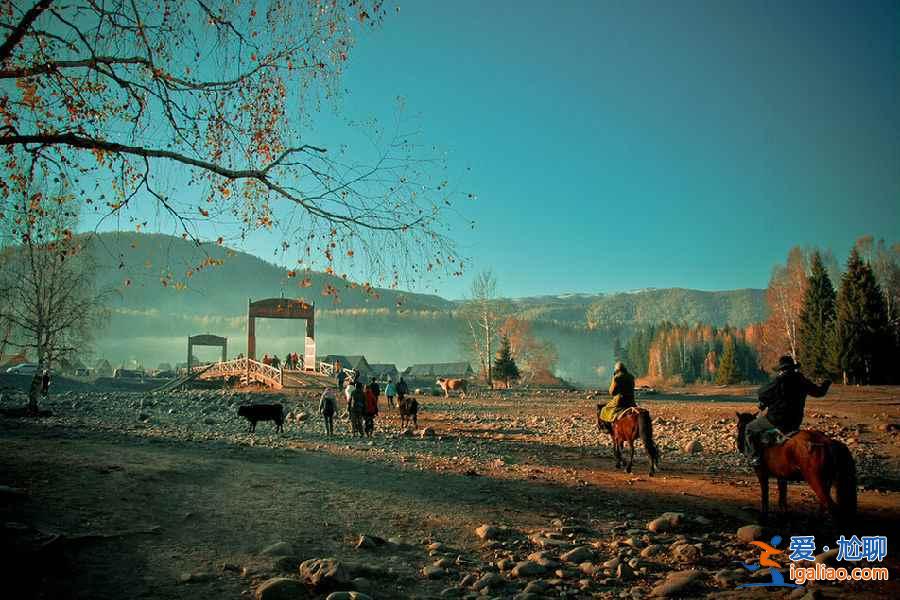 北疆，中國最美的秋天都在這里了！？