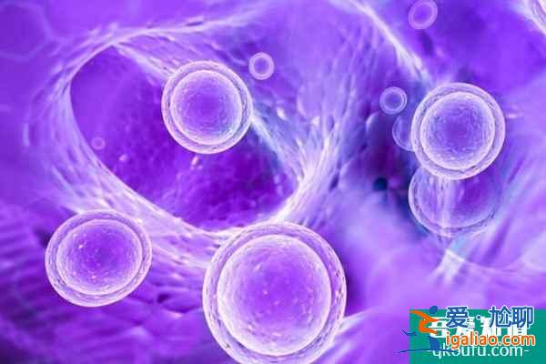 試管嬰兒:FSH值過(guò)高就說(shuō)明卵泡質(zhì)量差?? 試管嬰兒:FSH值過(guò)高就說(shuō)明卵泡質(zhì)量差??