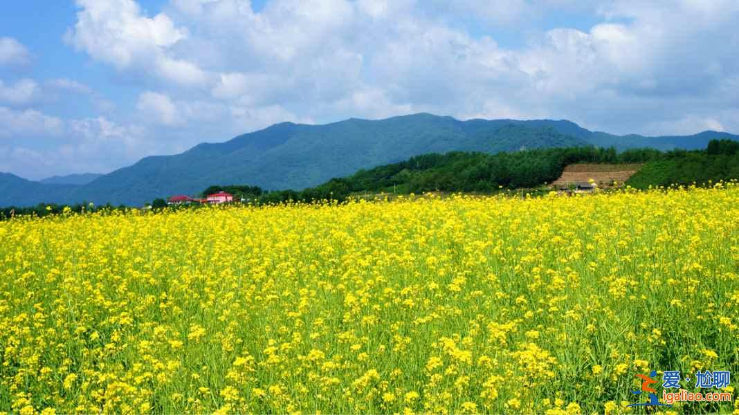 中國北方最美的隱世桃源：丹東綠江村？