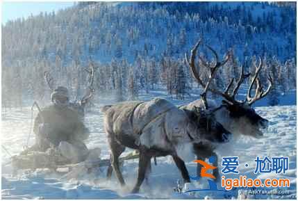 全世界最冷的地方,居然不在北極圈!? 全世界最冷的地方,居然不在北極圈!?