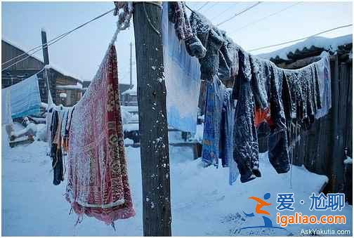 全世界最冷的地方,居然不在北極圈!? 全世界最冷的地方,居然不在北極圈!?