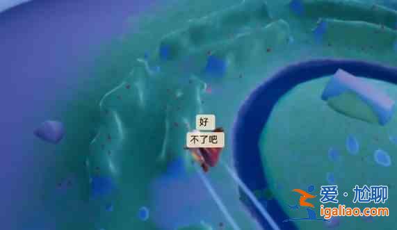 光遇小王子第二次藏在哪？小王子第二次藏位置分享？