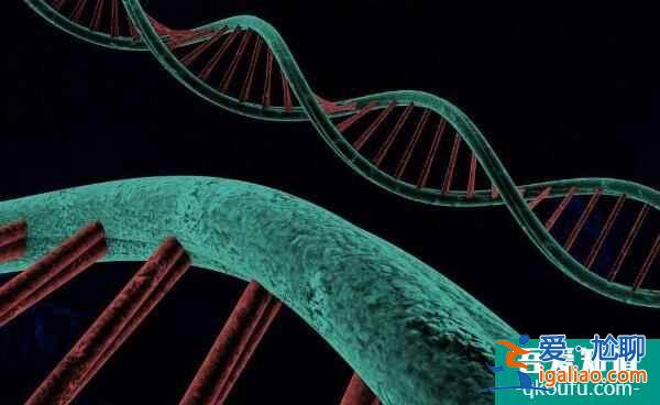 失獨家庭? 失獨家庭?