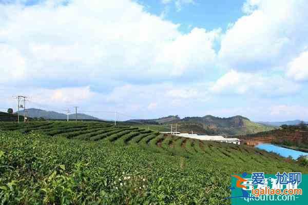 全國凍哭預警地圖 冬天去哪里避寒國內推薦？