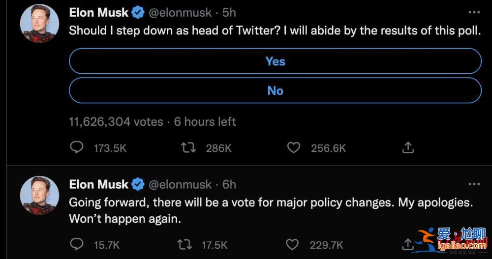 與特朗普女婿現場看完世界杯決賽后 馬斯克要從推特辭職了?近6成網友投票支持? 與特朗普女婿現場看完世界杯決賽后 馬斯克要從推特辭職了?近6成網友投票支持?