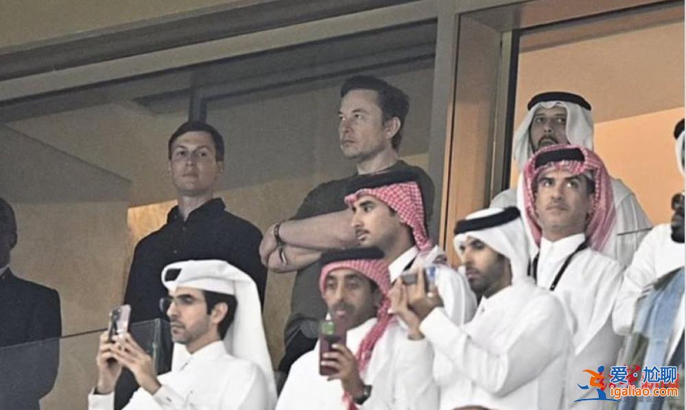 與特朗普女婿現場看完世界杯決賽后 馬斯克要從推特辭職了?近6成網友投票支持? 與特朗普女婿現場看完世界杯決賽后 馬斯克要從推特辭職了?近6成網友投票支持?