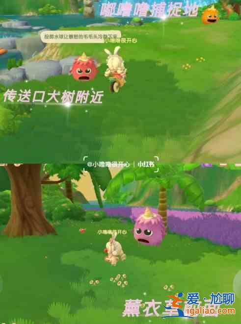 摩爾莊園與拉姆玩耍攻略大全 與拉姆玩耍任務(wù)攻略匯總？