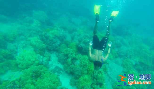 如果你是海島控，不要錯過夏威夷？