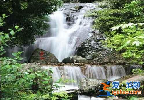 中國(guó)的亞馬遜雨林，攝影師的天堂？