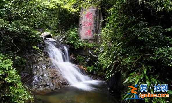 中國(guó)的亞馬遜雨林，攝影師的天堂？
