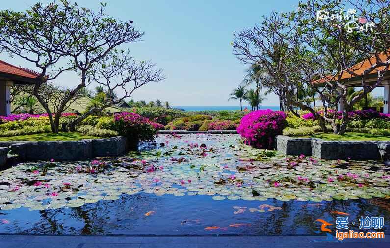 巴厘島免簽，2015年6月10日起巴厘島對(duì)中國(guó)公民正式免簽？