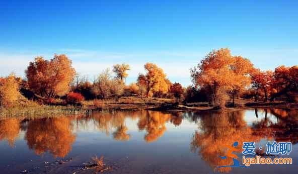 額濟納旗在哪里,額濟納旗在什么地方? 額濟納旗在哪里,額濟納旗在什么地方?